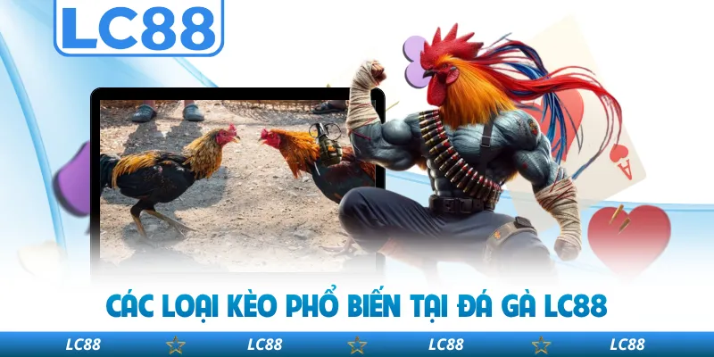 Các Loại Kèo Phổ Biến Tại Đá Gà LC88